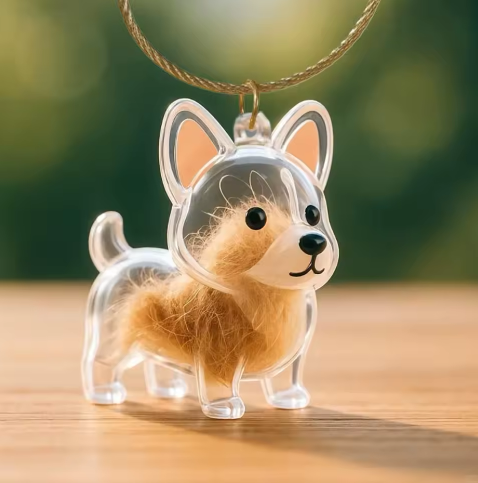 Llavero Recuerdo Mascota